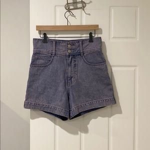 Urban Outfitters BDG purple high waist shorts